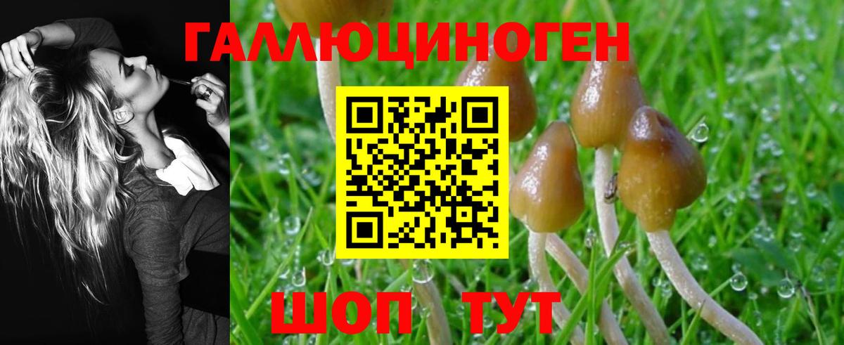 Галлюциногенные грибы Psilocybine cubensis Ижевск