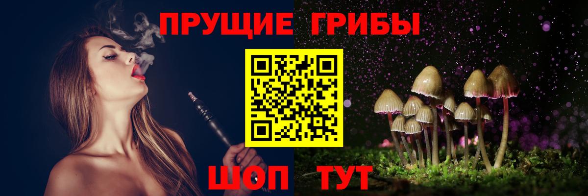 как найти закладки  Галлюциногенные грибы Psilocybine cubensis  Вход с VPN  Ижевск 
